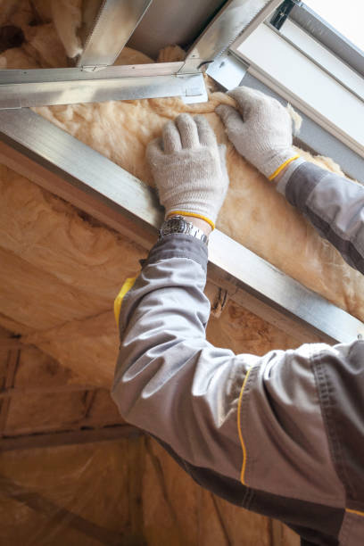 Best Insulation Maintenance and Repair in Lusby, MD